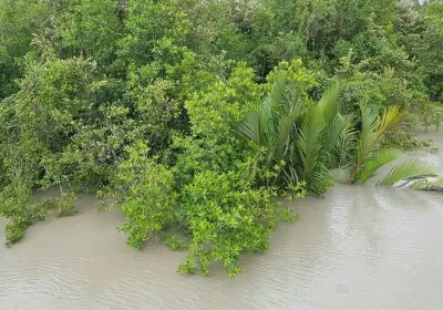 Khulna District
