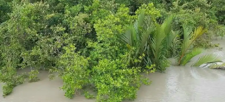 Hotels in Khulna
