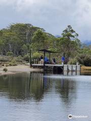 Narcissus Hut