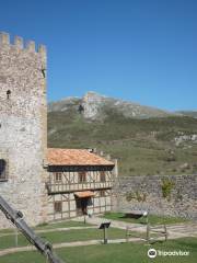 Castillo de Argüeso