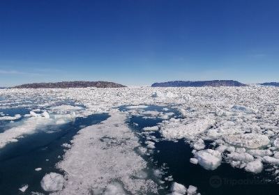 Jakobshavn Glacier