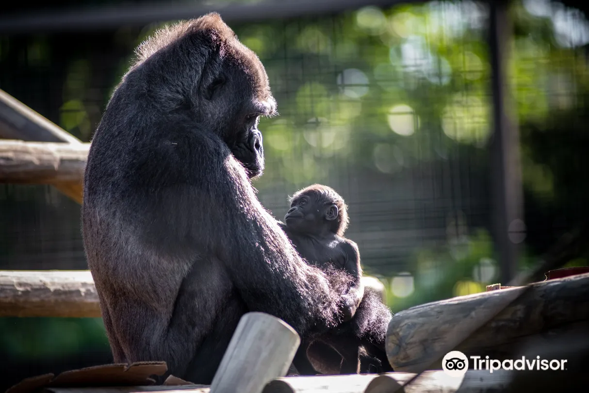 5_Columbus Zoo and Aquarium