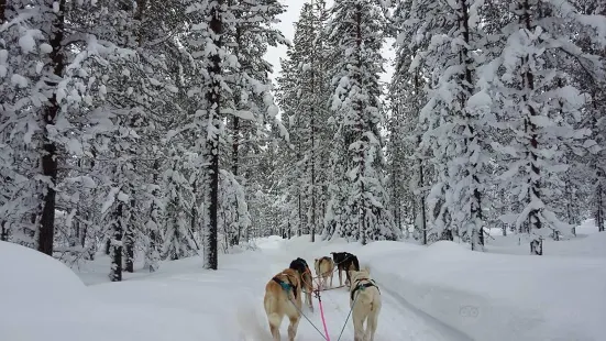 Levi Huskypark