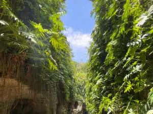 Cenotes Hacienda Mucuyché