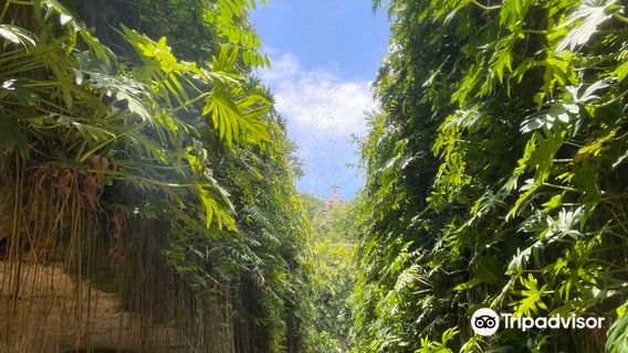 Cenotes Hacienda Mucuyche
