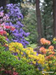 Rhododendron Species Botanical Garden