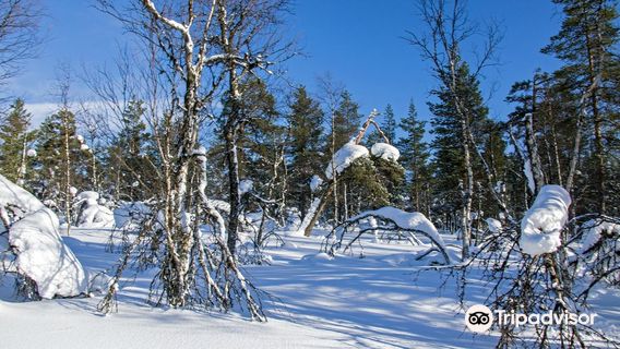 Urho Kekkonen National Park