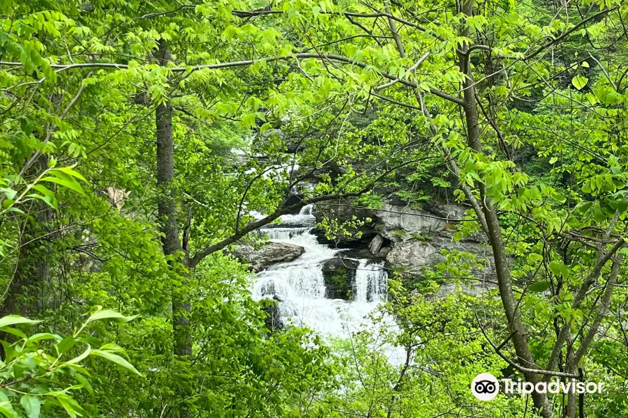 Cullasaja Falls