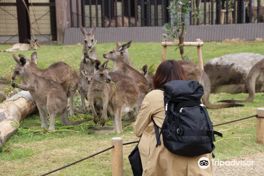 橫濱市立金澤動物園