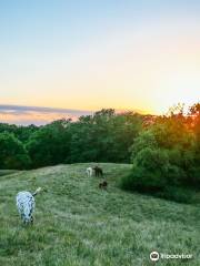 Heartland Camps & Retreat Center