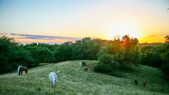 Heartland Camps & Retreat Center