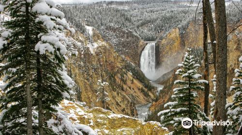 Yellowstone River