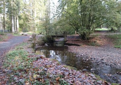 Grizedale Forest