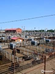 National Stockyard Exchange