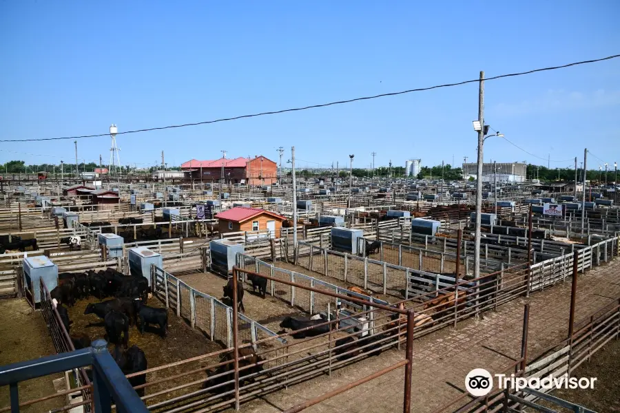 National Stockyard Exchange