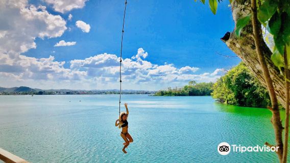 Jorge's Rope Swing