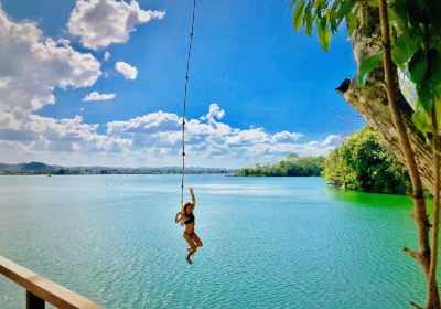 Jorge's Rope Swing