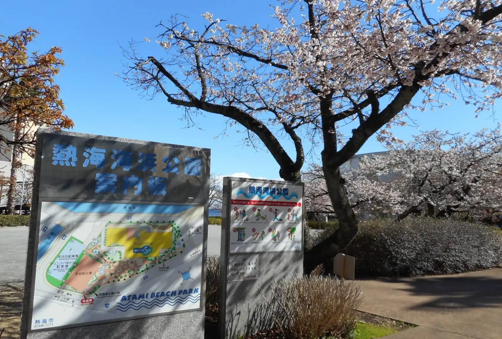 鄰近熱海海濱公園的酒店