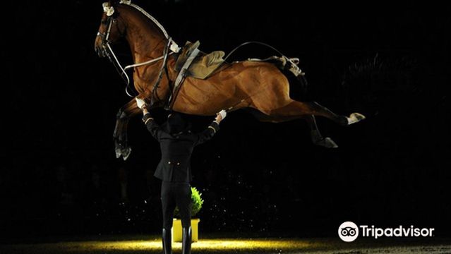 Saumur Riding Academy