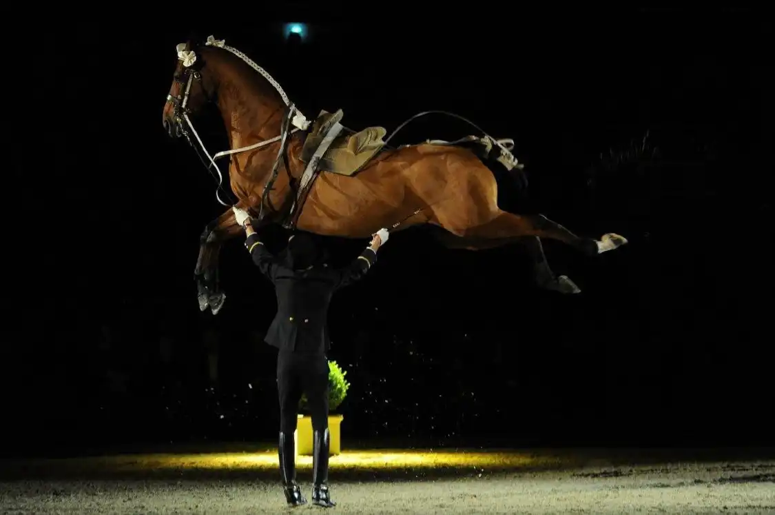 Hotels near Saumur Riding Academy