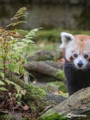 艾赫泰里動物園