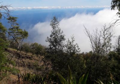 Pico Do Fogo