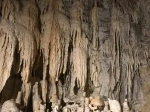 Petrified Caves