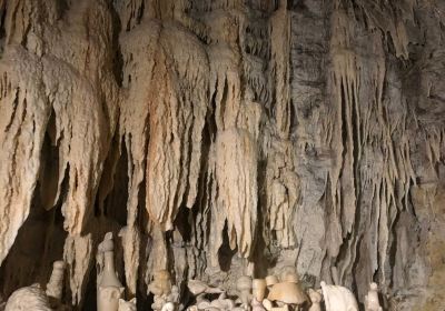 Petrified Caves