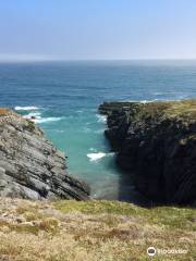 Mistaken Point Ecological Reserve