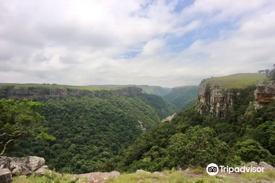 Umtamvuna Nature Reserve