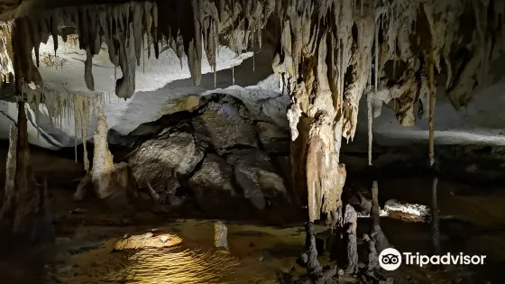 Alexandra Cave