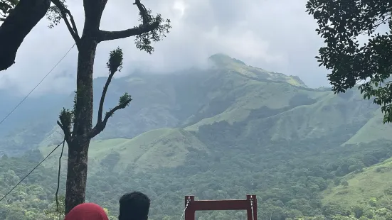 Glass Bridge 900 Kandi Wayanad