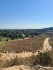 Saugatuck Dune Rides