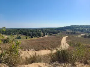 Saugatuck Dune Rides