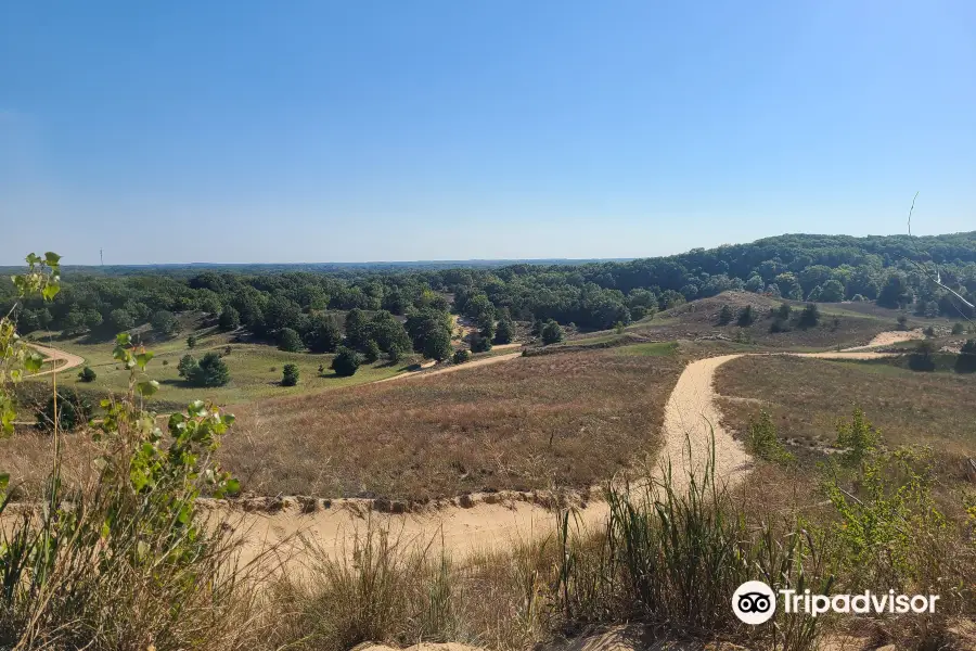 Saugatuck Dune Rides