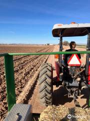 Caywood Cotton Farms