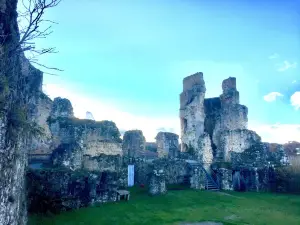 Chateau de St Germain de Confolens