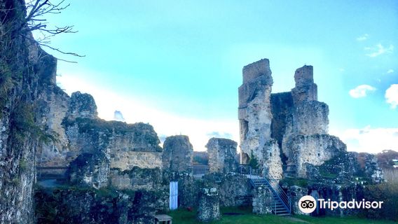 Chateau de St Germain de Confolens