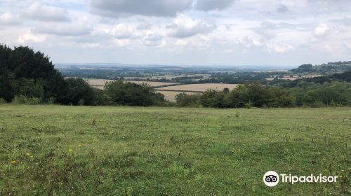 Watlington Hill