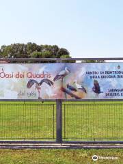 Oasi naturalistica Dei Quadris