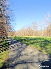 Wooded View Golf Course