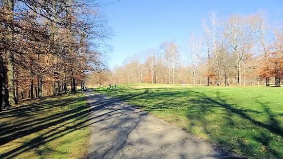 Wooded View Golf Course