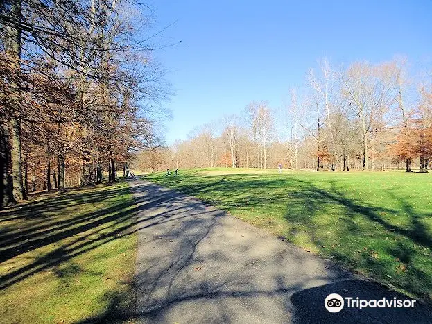 Wooded View Golf Course