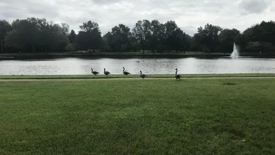 Allen Pond Park