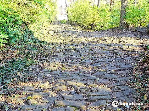 Cobblestone Path