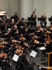 Mobile Symphony Orchestra