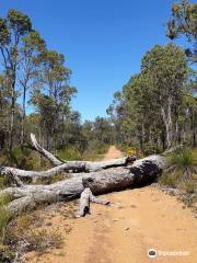 Korung National Park