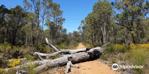 Korung National Park