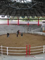 Tokunoshima Nakusamikan Bullfighting Arena