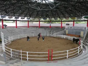 Tokunoshima Nakusamikan Bullfighting Arena